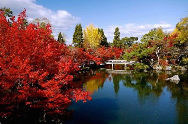 10 อันดับสถานที่ท่องเที่ยวของญี่ปุ่น ที่ต้องไปเยือนให้ได้ในฤดูใบไม้ร่วง