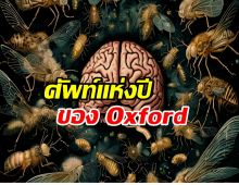 Oxford Dictionary เลือก สมองเน่า(Brain Rot) เป็นคำศัพท์แห่งปี 2024