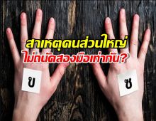 ถอดรหัสความถนัด: ทำไมคนส่วนใหญ่ไม่ถนัดสองมือเท่ากัน?